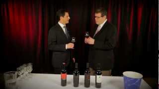 Vancouver International Wine Festival  Questions to ask winemakers [upl. by Atekahs841]