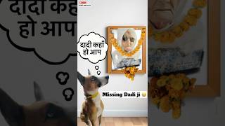 We All Miss You Dadi ji 😭  minivlog [upl. by Tilford]