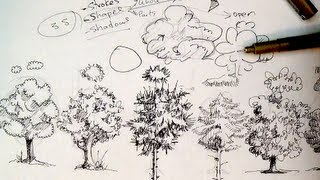 Pen amp Ink Drawing Tutorials  How to draw trees [upl. by Anya]