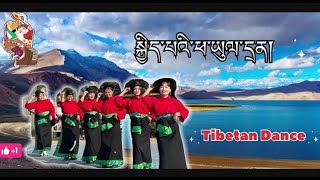 New Tibetan gorsey dance  Happy Home Land2024 [upl. by Eelrebmyk]