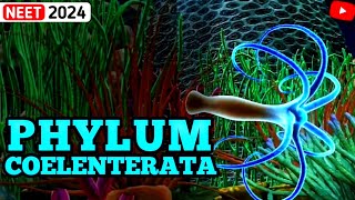 NonChordates PHYLUM COELENTERATA  Animal Kingdom  3D ANIMATION [upl. by Beekman]