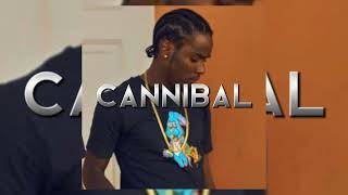 Medz Boss Cannibal Clean Version [upl. by Holmann]