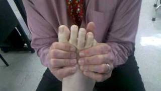 Distal Metatarsal Joint Mobilization [upl. by Anitsyrhk361]