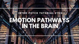 Emotion Pathways in the Brain Intro Psych Tutorial 152 [upl. by Anola]