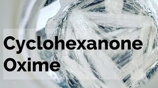 Cyclohexanone Oxime Organic Synthesis [upl. by Ailati716]