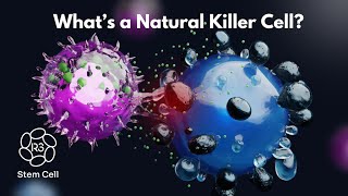 What are Natural Killer Cells 1844 4NKCELL [upl. by Aitnic556]