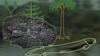 The Great Coal Forests of the Carboniferous [upl. by Lyall550]