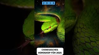 Schlange Chinese Horoscope 2025 [upl. by Ynogoham]