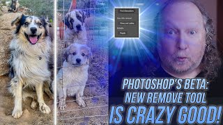 Photoshops Beta NEW Remove Tool is CRAZY GOOD [upl. by Spiegleman]