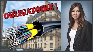 La fibre optique obligatoire dans tous les immeubles rénovés [upl. by Ralat218]