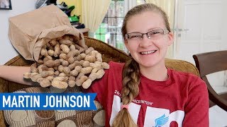 HOW TO COOK BOILED PEANUTS SIMPLY [upl. by Ifen726]