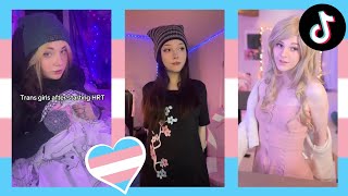 Trans TikToks Compilation 36 [upl. by Yanat]