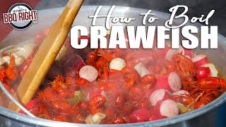 Boiling the Best Crawfish At Home [upl. by Emersen]