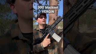 SilencerCo hybrid 46 youtubeshorts gunasmr educational suppressor 300blk shorts [upl. by Yrreg]