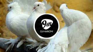 Kabutar Ja Ja Ja  Dhol Mix  Unreleased  Dj Abhijeet In The Mix  DJ HARIOM [upl. by Piks]