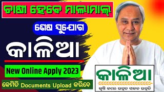 Kalia Yojana New Online Apply 2023 Last Chance Dont Miss [upl. by Eissim]