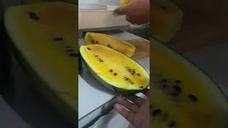 Yellow watermelon [upl. by Dimphia]