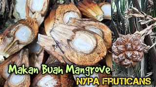 Makan Buah Mangrove Nypa Fruticans [upl. by Alemaj]