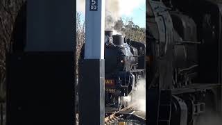 A2 986 at Watergardens station [upl. by Eceirehs]