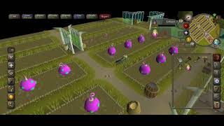 One uneventful run of tithe farm OSRS [upl. by Liris]