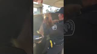 Dog ARRESTED for disturbing the peace goldendoodle cops baddog [upl. by Nabal]