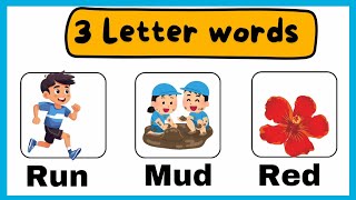 3 Letter Words List  Phonics lesson  Reading Lesson kids English vocabulary [upl. by Diarmid618]