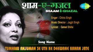 Tumhari Anjuman Se Uth Ke Deewane Kahan Jate  ShaamEGhazal  Chitra Singh [upl. by Henriha]