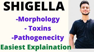 Shigella microbiology Shigella pathogenesis  shigella toxin  shigellosis [upl. by Rhtaeh]