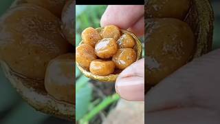 Mini besan chikki How to make besan chikki shorts minivlog [upl. by Arted582]