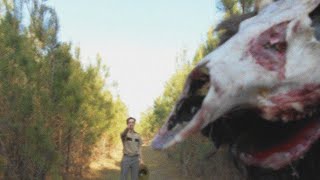 most dangerous park known to man woodlands national park [upl. by Attelrak]