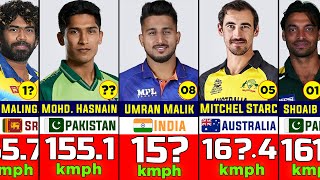 Top Fastest Bowlers in Cricket History  Top Fastest Bowlers in the World [upl. by Kata379]