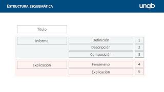 Edición de la Descripción del flujograma  Parte 1 [upl. by Aysahc]