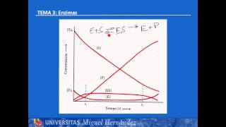 Tema 34 Cinética enzimatica UMH1003 201516 [upl. by Enajaras]