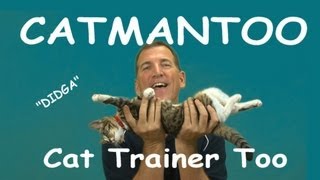 CATMANTOO  Cat Training Channel [upl. by Rebak]