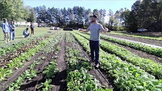 Market Gardening Why 30Inch Beds Are the Key to Thriving Crops [upl. by Hube298]