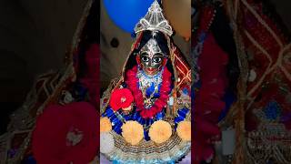 Radhe Radhe pujalifestyleladdugopalpujaviralvideoladduradheradheshyamtrendingradharanigopal [upl. by Yrekaz]