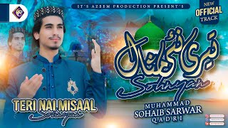 New Punjabi Naat 2024Teri Nai Misaal SohnyanMuhammad Sohaib Sarwar QadriOfficial Video 2024 [upl. by Naeroled197]