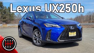 2023 Lexus UX250h  More Than Just A Fancy Corolla [upl. by Mcnally]