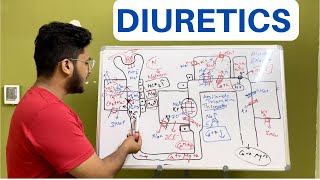 Diuretics  Pharmacology amp Physiology  MBBS  Saad Khan [upl. by Kresic966]