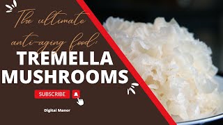 Tremella Mushrooms The Ultimate AntiAging Food [upl. by Tatiana]