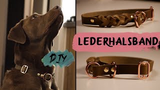 DIY  LEDERHALSBAND für Hunde  selber machen [upl. by Shana]