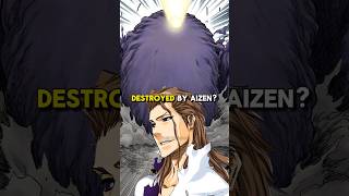 What Happened after Aizen Destroyed the Cleaner bleach bleachanime anime [upl. by Bohon]