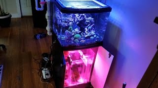 Biocube 29 Custom Sump pt5 [upl. by Minetta]