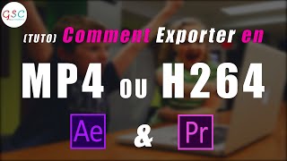 Comment EXPORTER faire un Rendu ULTRA léger avec Media Encoder TUTO [upl. by Jurdi]