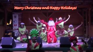 Bhangra Empire  Christmas in the Park 2016 [upl. by Akinoj]