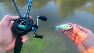 Topwater Whopper Plopper Fishing For Giant Summer Bass [upl. by Angelique]