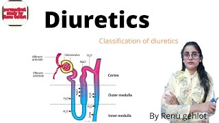 Pharmacology  diuretics amp classification of diuretics [upl. by Nywroc]