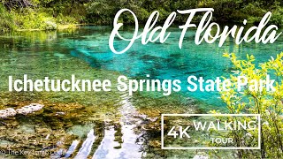 🌳 Exploring Ichetucknee Springs State Park Natural Wonders of Florida 2023  4K [upl. by Payson547]