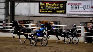 Emily and Rooster in Class 39  Hackney Open Roadster Pony at Spooktacular Horse Show [upl. by Marella]