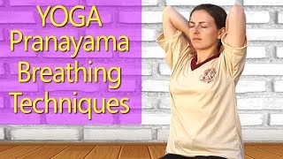 Yoga Pranayama Techniques for Beginners Easy Breathing Exercise for WeightLoss Sectional Breathing [upl. by Monti]